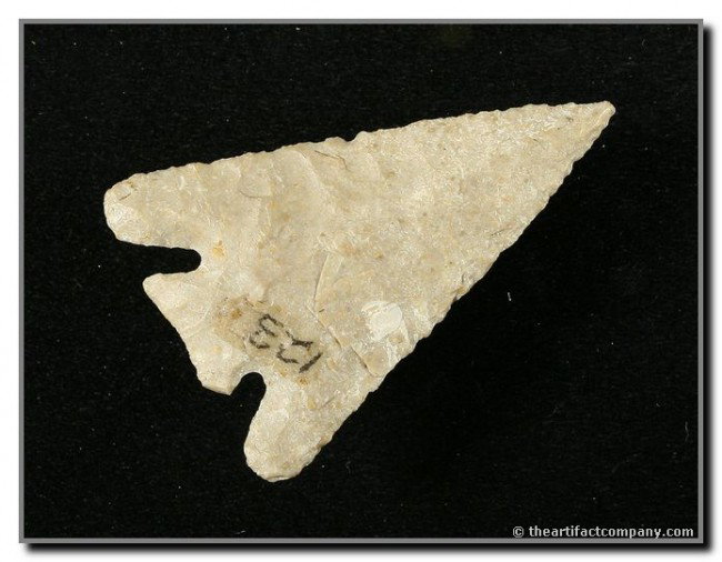 2 13/16" Apple Creek: Fossiliferous chert. Missouri. Ex - Terry Allen Collection.