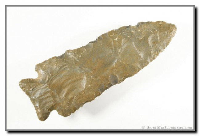 4 5/16" Stilwell: High grade mottled Fort Payne example from Kentucky. Ex - Terry Allen Collection.