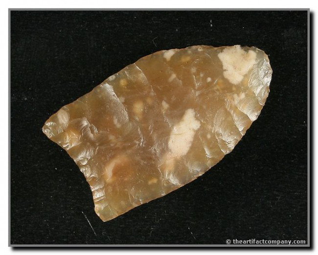 1 5/8" Goshen: Prehistorically resharpened around impact fracture. Totally translucent example in high grade chalcedony from the Tin Camp Ranch. Found by George Green in Lincoln Co., Nebraska.