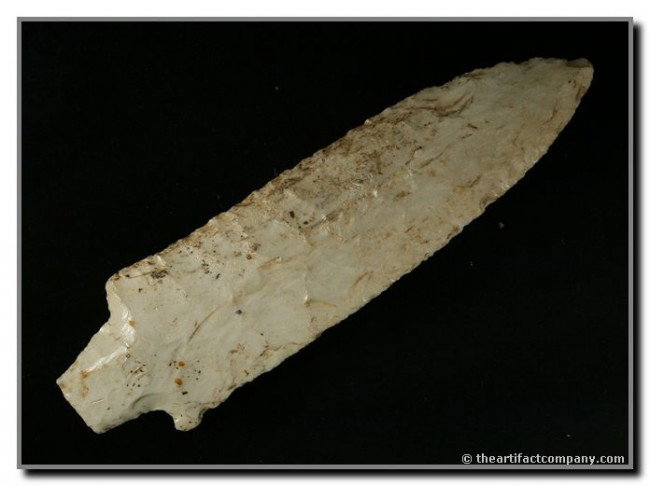 5 11/16" Etley: White Burlington chert. Great mineralization and size. Washington Co., Missouri. Found by Jim Hoyt. Ex- Jim Crawford and Terry Allen Collections. Rogers COA.