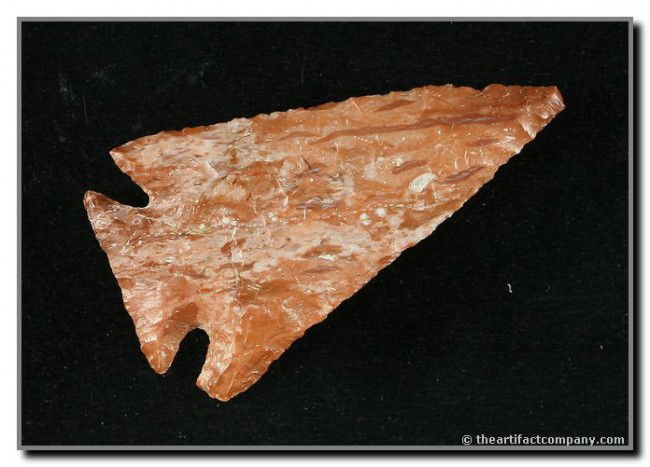2" Pelican Lake: Beautiful maroon and cream speckled Kay County chert. Very thin and extremely well crafted. Kansas type. Stermer COA.