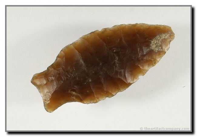 2 1/2" Hanna: Highly translucent Knife River Flint. Tremendous flaking. North Dakota. Jackson COA.