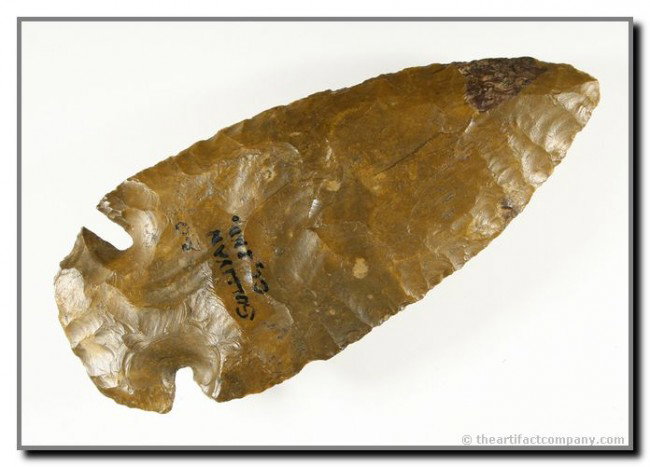 4 9/16" Dovetail: Large Creek stained example from Sullivan Co., Indiana. Very pretty. Ex - Terry Allen Collection.