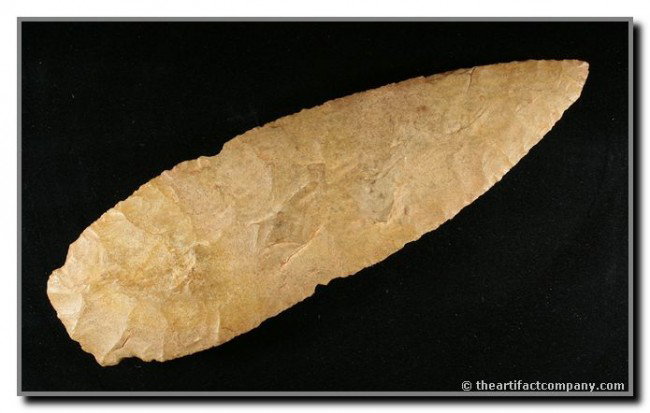 7 5/8" Caddo Knife: Large, ultra thin, and awesome!! Pretty tan and maroon chert. Found in Cherokee Co., Texas. Ex- Will Morris and Terry Allen Collections. Rogers COA.