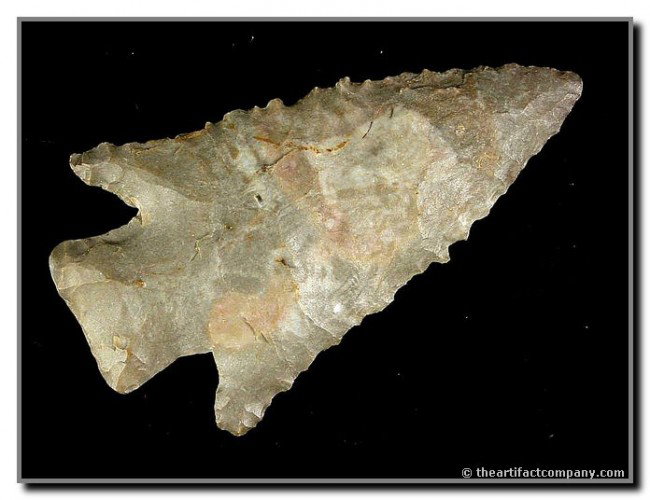 2 5/8" Hardin: Serrated example from Western Kentucky (Dickey COA lists as likely Christian County) Fort Payne Chert. Dickey COA.