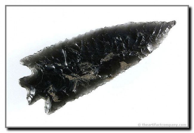 2 7/8" Elko Corner Notch: KILLER!!! A true G-10+!! Finely serrated example in highly translucent obsidian with a long extended needle tip. Amazing that it survived the ages in it's original condition. Jackson COA. Found in the