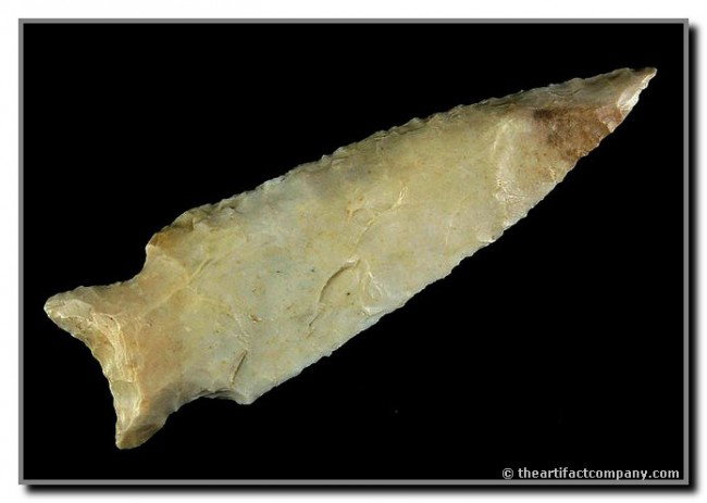 3 3/4" Dalton: Described by Rogers as prehistorically rebased. This example in waxy Burlington Chert. Is from Madison Co., Illinois. Ex - Jim Crawford Collection. Rogers COA.