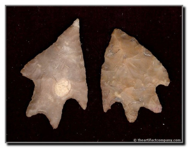 Pair of Excellent Pedernales Points: Nice set of Pedernales points including one 'Comanche' style example. Central Texas. Edwards Plateau Chert.