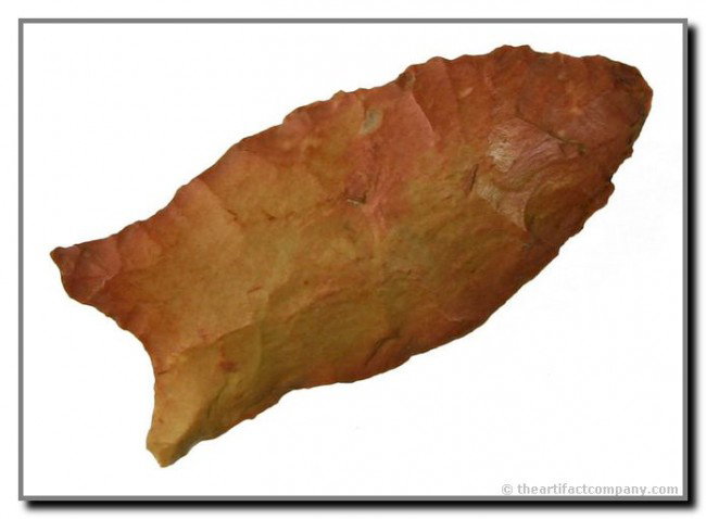 2 3/8" Clovis - Jackson COA: Unique 'waisted' or 'Hazel' Variety. Beautiful red and yellow Jasper. Superb condition. Found in Mississippi. Jackson COA.