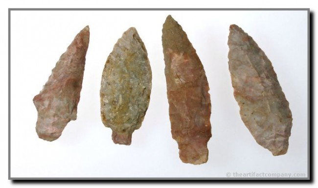 4 Excellent Adenas from Kentucky: Including one extra long 3 1/4" the largest in the group) curved Knife form. All made from Classic Boyle Chert, some heated purple.