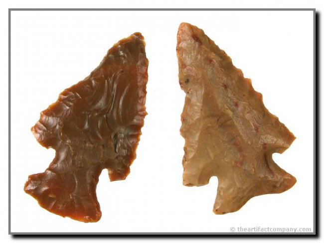 Nice 2 1/2" each Carter Cave Lost Lake & Thebes: Pretty caramel colored Carter Cave Lost Lake with red capillaries throughout and nice base and serrations. And a really nice very thin deep dog-legged notched Thebes, also Carter Cave. Both found in B