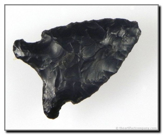 1 5/8" San Patrice: Pretty glossy high grade black flint. Found near Lake Palestine in Eastern Texas. Ex- Bruce Downing Collection. Davis COA.