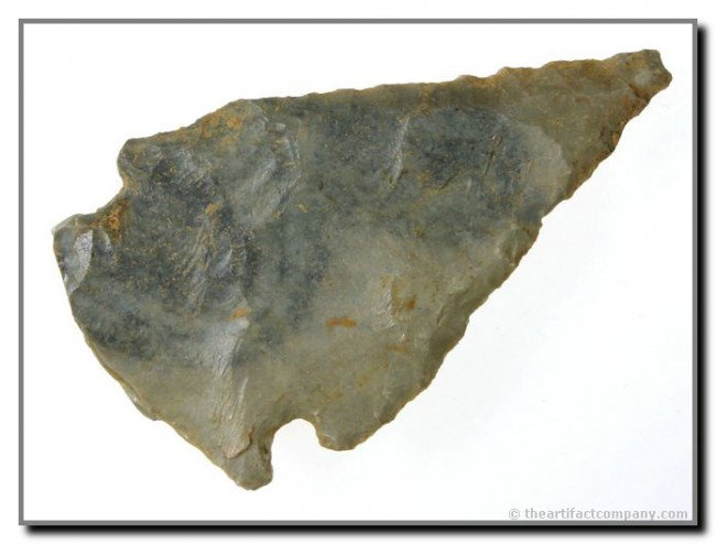 3 5/8" Salvaged Turkeytail: Bullseye Hornstone. Appears to be made by a later Aboriginal having found a killed Turkeytail blade and then notching it for hafting and further use. Really unique form. Found in Nicholas Co., Kentuck