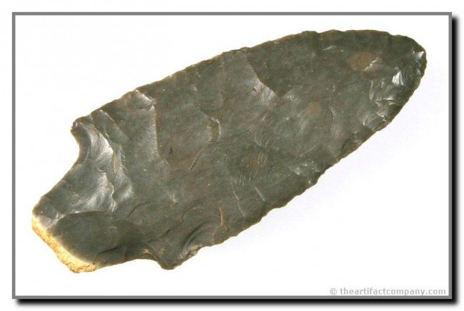 3 1/4" Adena: Classic Tennessee example flaked from the rind on the base made of gray high grade Hornstone. Ex- Albert Bellgardt and Tom Davis Collections.