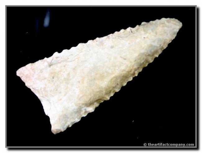 2 3/4" Early Triangular: Dates to Early Archaic times. Virtually perfect condition. Great serrations. Pretty multi-toned glossy cream chert. Ex- Terry Allen Collection. Texas.
