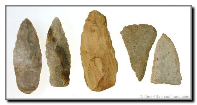 5 Piece Knife Collection from Kentucky: Two really nice, thin, and color Adenas made of Boyle Chert. One Cobbs, one Preform and one 3 1/4" very pretty Flint Celt. All Bath Co., Kentucky.