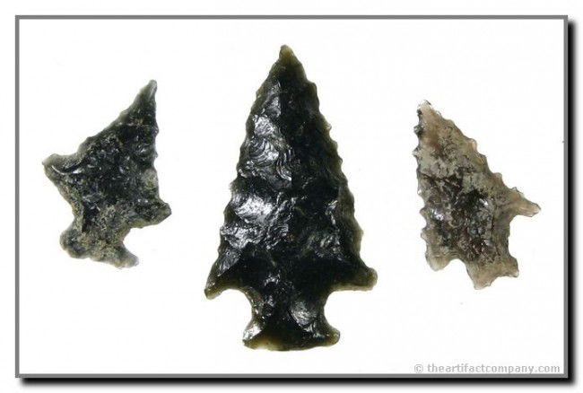 3 Serrated Obsidian Darts: All literally perfect. Longest 1 1/2". Found on the Bodle Family Ranch in Klamath Co., Oregon.