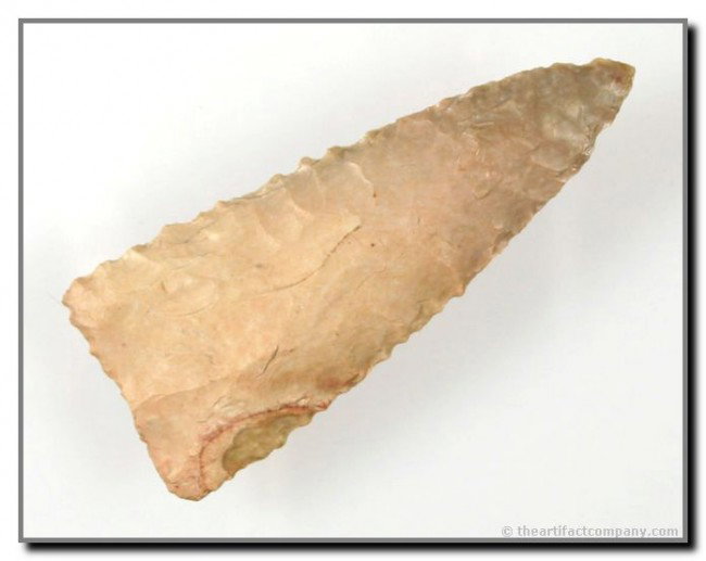 2 7/8" Early Triangular: Exquisite example. Serrated and perfect. Appears 'fluted' both sides. Intersting colorful chert. Ex- Terry Allen Collection. Texas.