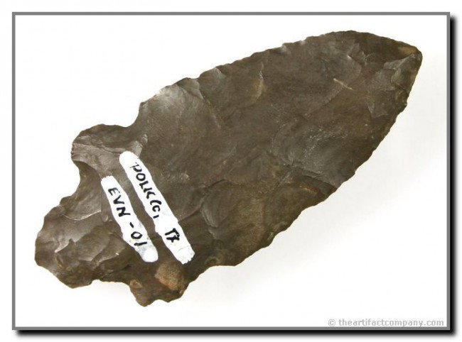 3 1/4" Merkle: Rare type. Nice double notching. Labeled as - Polk Co., Texas.