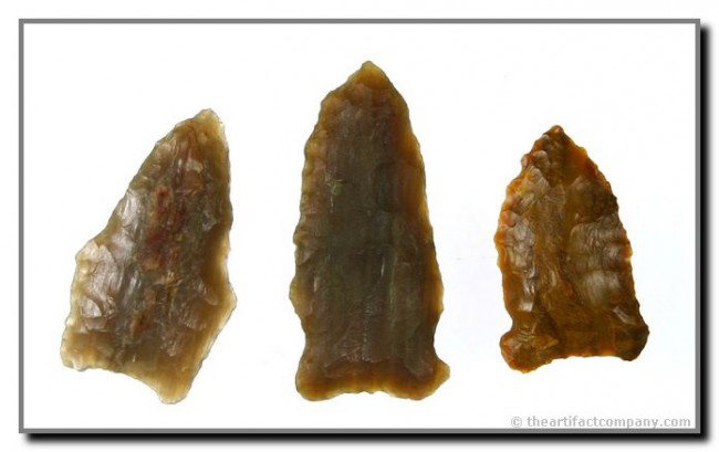 3 Early Archaic Southwestern Darts: All Petrified Wood. Largest 1 3/8". Dating to 8,000 years old or so. Ex- Brady Collection. Pecos River Basin, New Mexico.