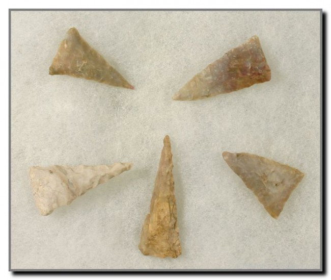 5 'Killer' Triangles: Great form. Nice colors. One longest (1 3/4") serrated Fort Ancient example. All Boyle Chert. Ex- Short Collection. All from the same farm in Bath Co., Kentucky.