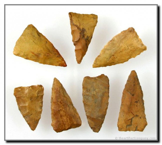 Group of 7 Madison Points all found on the same si: Ex- Terry Gilliam Collection. Lee Co., Arkansas. All made of brown river cobble chert. All found on the same Quapaw Site. Partain COA.