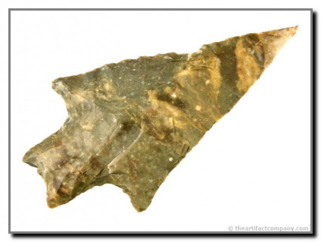 2 7/8" Pedernales: Great form. Great symmetry. Five sharp points. Interesting three tone green with creams.Ex- Terry Allen Collection. Texas.