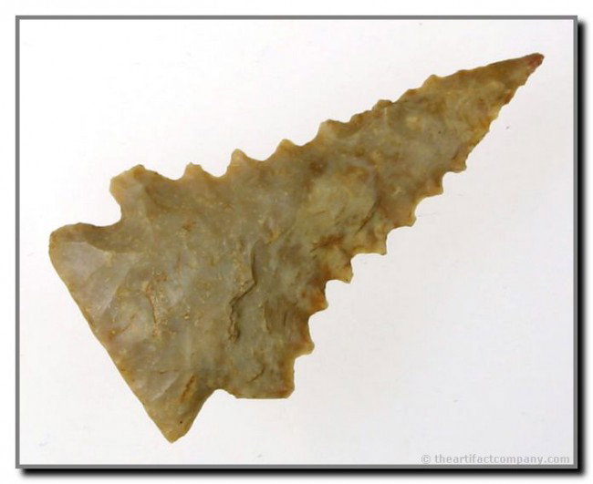 2" Pinetree: Translucent Boyle Chert with nice translucency. Found in Nicholas Co., Kentucky. Ex- Anderson Collection.