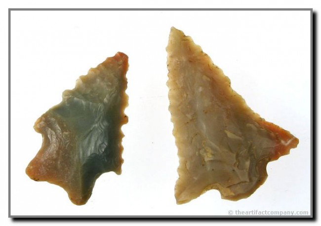 Two Kentucky Serrated Beauties: Both Carter Cave. Stemmed Kirk is 1 5/16" and the snapped ear LeCroy is 1 5/8". LeCroy highly translucent, ultra thin,and exhibits super fine flaking. Kirk is a little sweetie pie with prefect serrati