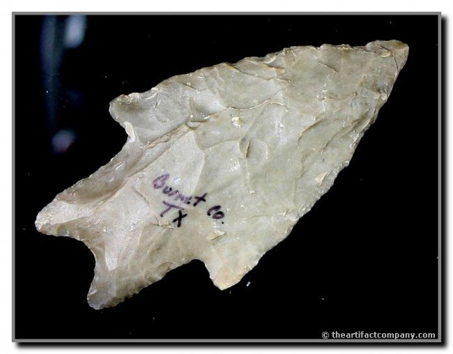 2 1/2" Pedernales: Pretty olive drab green flint. Ex- Terry Allen Collection. Burnet Co., Texas.