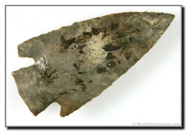 3 3/16" Marshall: Very thin with great form and flaking. Ex- Roy Pohler Collection. Texas.