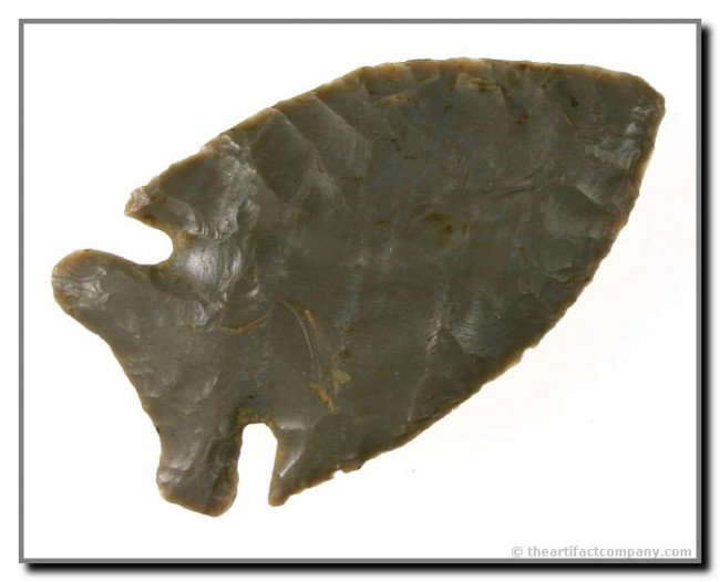 Superb 2 1/2" Intrusive Mound - Jackson 'G-10' COA: As good as they get. Thin and perfect. Pretty light gray Hornstone. Found in McLean Co., Kentucky by Howard hilliard. Jackson 'G-10' COA.