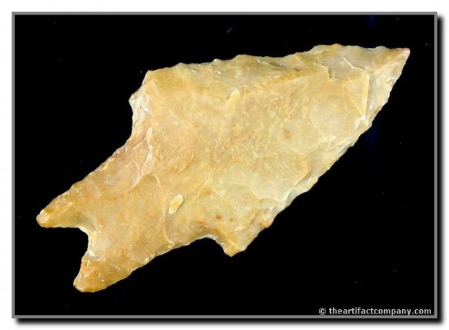 Extra Nice 2 1/4" Pedernales: Long delicate perfectly symmetrical 'Owl-type' pointy ears. Light brown Edwards with nice translucency around the perimeter. Ex- Bruce Downing Collection. Texas.