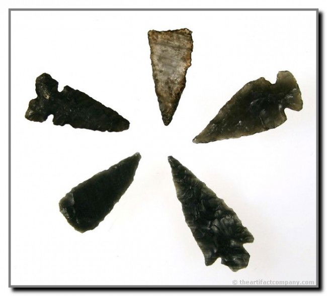 5 Piece Obsidian Mini-Collection: Longest is a nicely banded highly translucent 1 3/8" Rose Springs. Plus a tri-notch Desert Series, two triangular tribute darts, and a side notch. All found in Inyo Co., California. Ex- David McNeill