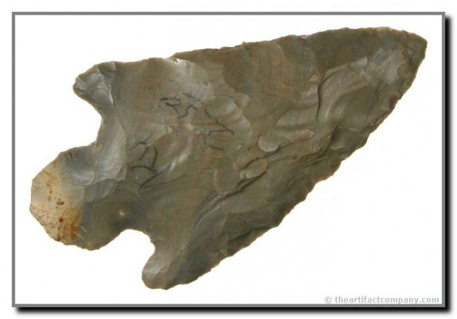 3 5/8" Turkeytail-Harrison: Great big example in glossy gray Hornstone. Flaked from the rind at the base. A true G-10 Classic. Has old price written in pencil '$2.50'. Can you believe that? Those were the days.Ex- Oakley Collect