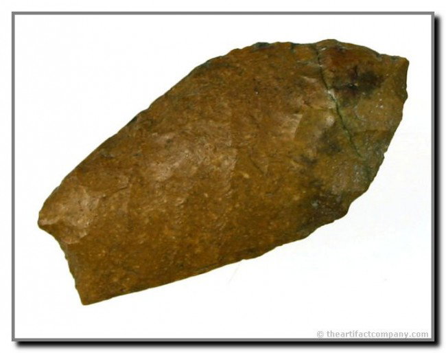 1 3/4" Alder Complex: Nice example in a Niobrara Jasper found by George Green along the Middle Loup River in Lincoln Co., Nebraska.