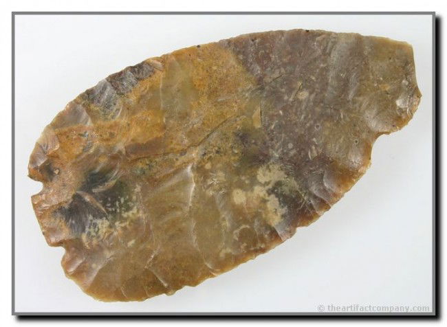 Awesome 5" Base Tang Knife: A true Texas 'Classic'. Ultra thin yet huge. Measures 2 5/8 inches across!!! Nice translucency in the mottled fossil chert. Ex- Terry Allen Collection.