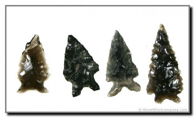 4 Extra Fine Obsidian Bifurcates: Longest 1 3/4" and nicely serrated. 1 3/8" example is completely translucent and has long flaring ears. All found on the Bodle Family Ranch in Klamath Co., Oregon.