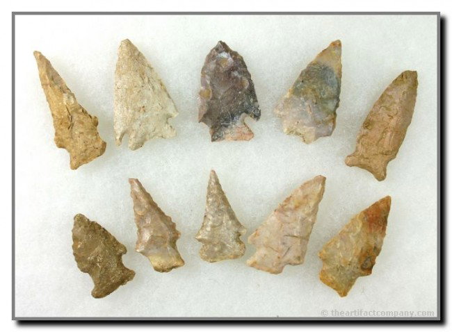 Fabulous Collection of 10 Archaic and Early Archic: Various Kirks, small Knobbed Hardin made of Crab Orchard Chert, and a Great little 1 1/2" Dovetail made of Boyle Chert. Nice color and size. Biggest is 2 inches. All Bath Co., Kentucky. All same farm!