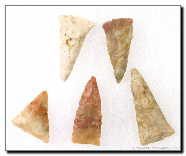 'Killer' Frame of 5 Triangles: Great color. Carter Cave, Boyle Chert, and Ft. Payne examples. All found in Bath Co., Kentucky. Largest 1 5/8".