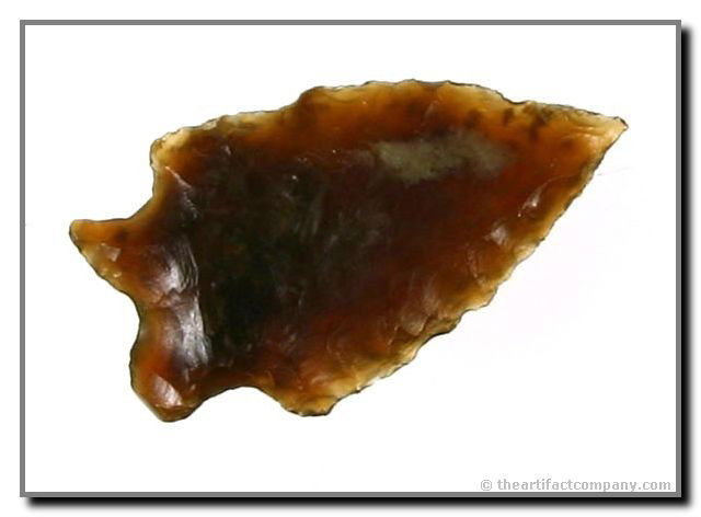 1 1/4" San Jose: Great translucent serrated piece of Knife River Flint found by George Green in Lincoln Co., Nebraska