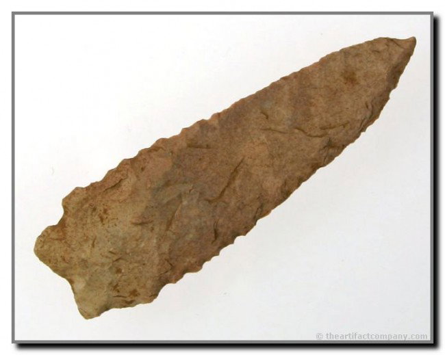 2 5/8" Stemmed Kirk - Jackson COA: Extra thin. Pretty tri-colred Fort payne Chert. Loaded with serrations and minerals. Found in Nicholas Co., Kentucky. Ex- Anderson Collection. Jackson COA.