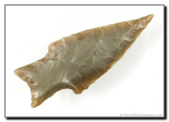2 5/8" Pedernales: Looooong extended needle tip. Gray / brown Edwatds Plateau. Super form. Ex- Terry Allen Collection. Texas.