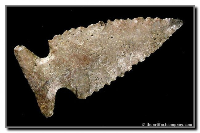 026: 2 3/16" Palmer - Great serrations: Perfect example in Boyle Chert from Bath Co., Kentucky. Dozens of tiny serrations.