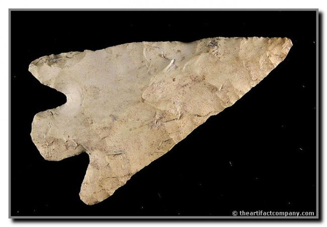 3 1/16" Buck Creek: Pretty example in a cream fossil chert from Central Kentucky.