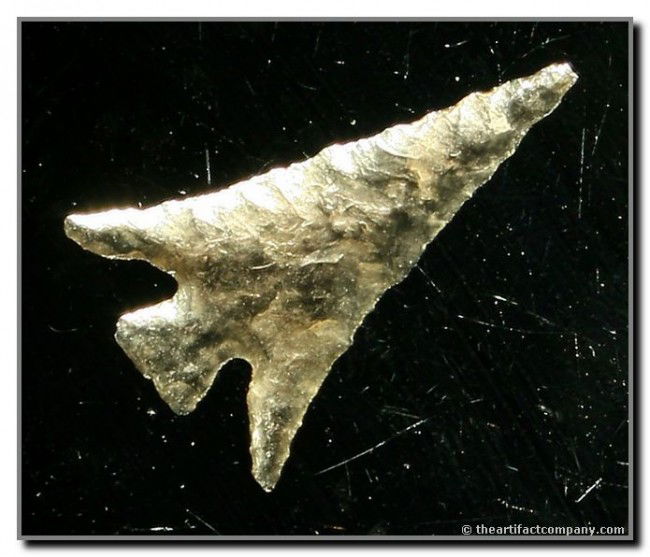 1 3/16" Columbia Plateau: Totally translucent obsidian example from The Dalles, Oregon.