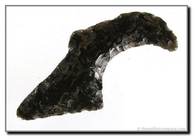 3 7/8" Teotihucan 'Talon': Deadly weapon used with others in a 'jaguar's paw' type club. Central Mexico. Obsidian.
