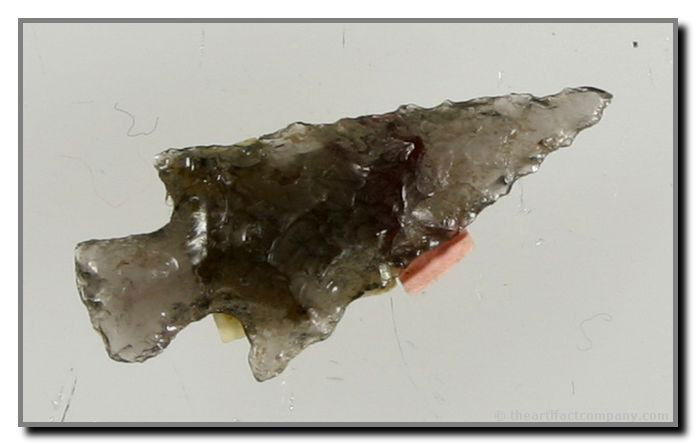 15/16" Wallula: Obsidian example from Oregon.