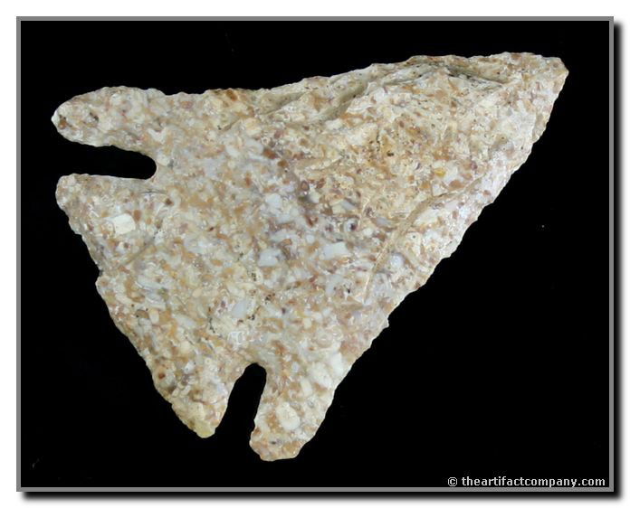 2 1/16" Pinetree: Pretty fossil-laden Harrodsburg chert example found by John Miller in Clay Co., Indiana.