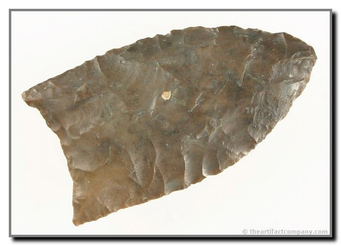 2 1/16" Plainview: Super fine example. Great early flaking. Made of a multitoned brown chert with a great sheen. Found by Russell Pollack along Montgomery Creek in Limestone Co., Texas.